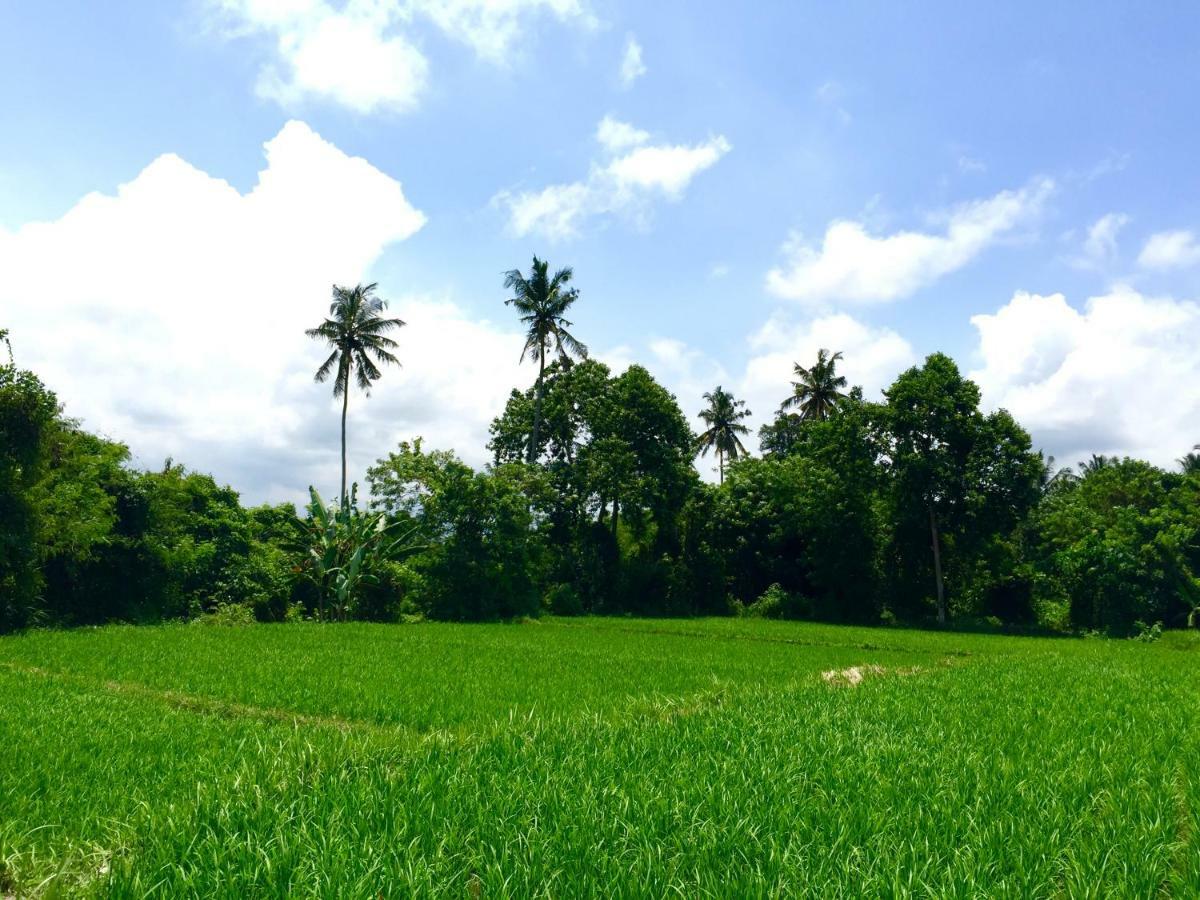 Villa Santai Ubud Extérieur photo